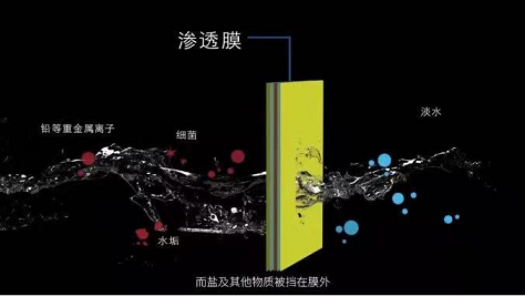 ʽܛϏSҰl(f)ίBl(f)4ƪx£ˮ̎ĤИI(y)ӭ°l(f)չ