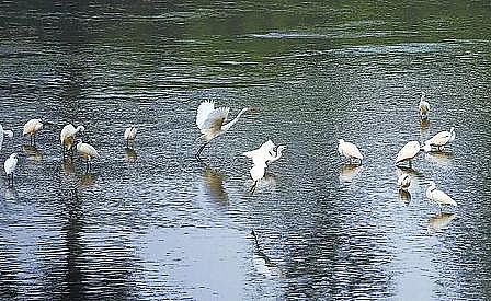 xwϏS12.01|!ˮʹÿBmȫһ