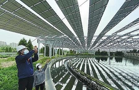 xwϏS12.01|!ˮʹÿBmȫһ