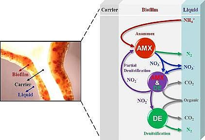 |JCۺȻXPACaSһڌHˮA2/OˇБҸpFȱĤЅĸ߶ȸ