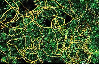 ϵxӾ۱ϩHPAMaS​ˮS\аĆ}̽ӑˮSČn}о