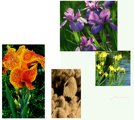 ϵxӾ۱ϩHPAMS​ֲIBˮwޏо