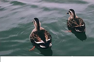 ϵ3AӺYaSYԴգFɳmˮcˮ̎Ч;