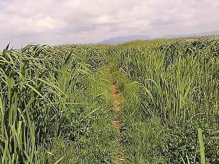 ϵɽrVϏSҽx|˹ˮ|(zh)g(sh)ָϡ˼·cwϵ