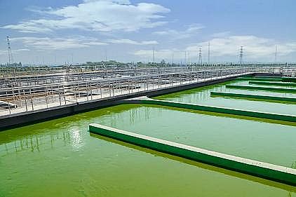 Ʒ|(zh)蹸a(chn)SҹI(y)Uˮ{(dio)ԇˮȿ?һƪ¿Y(ji)λ