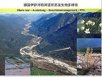 ϺʯӢɰVϏSҵӵĽȻޏ͌`