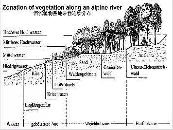 ϺʯӢɰVϏSҵӵĽȻޏ͌`