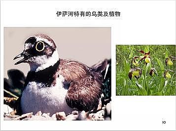 ϺʯӢɰVϏSҵӵĽȻޏ͌`