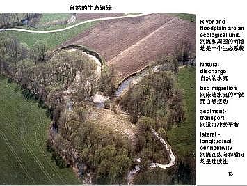 ϺʯӢɰVϏSҵӵĽȻޏ͌`