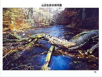 ϺʯӢɰVϏSҵӵĽȻޏ͌`