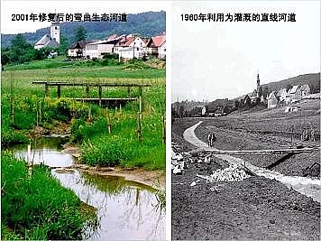 ϺʯӢɰVϏSҵӵĽȻޏ͌`