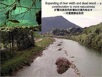 ϺʯӢɰVϏSҵӵĽȻޏ͌`