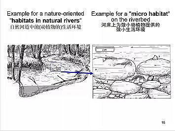 ϺʯӢɰVϏSҵӵĽȻޏ͌`