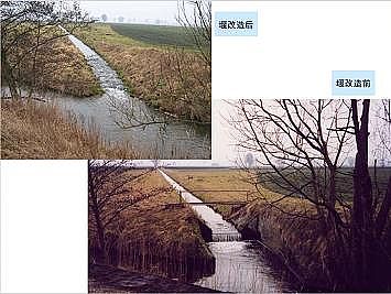 ϺʯӢɰVϏSҵӵĽȻޏ͌`