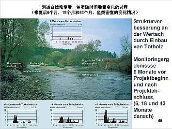 ϺʯӢɰVϏSҵӵĽȻޏ͌`