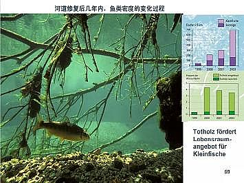 ϺʯӢɰVϏSҵӵĽȻޏ͌`