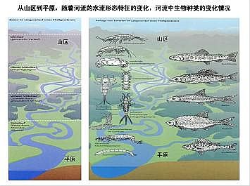 ϺʯӢɰVϏSҵӵĽȻޏ͌`