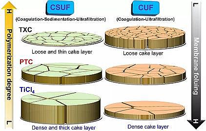 ȫ¾ۺȻXPACS}ڻȥ΢ȾＰpĤȾеm