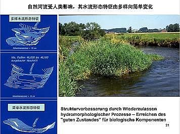 ϺʯӢɰVϏSҵӵĽȻޏ͌`