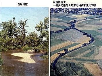 ϺʯӢɰVϏSҵӵĽȻޏ͌`