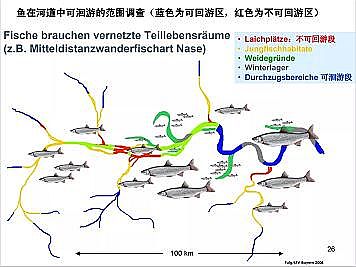 ϺʯӢɰVϏSҵӵĽȻޏ͌`