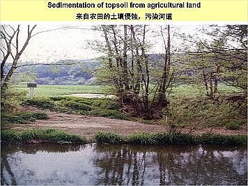 ϺʯӢɰVϏSҵӵĽȻޏ͌`