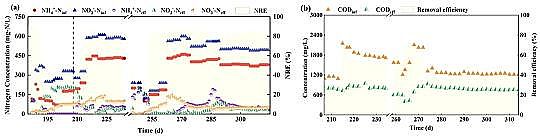 優質碳源廠家生活垃圾焚燒廠滲瀝液厭氧氨氧化脫氮效能及微生物機理研究