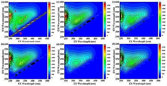 優質碳源廠家生活垃圾焚燒廠滲瀝液厭氧氨氧化脫氮效能及微生物機理研究