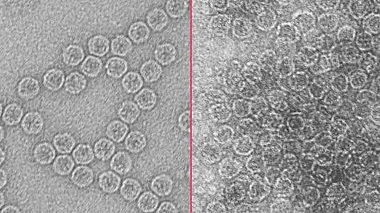 ϵMBBRaSҰѲڡu@¼gˮ֮ǰͿɷֹԭw