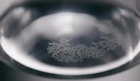 ϺÞVϺdFa(chn)SҰɫƯ