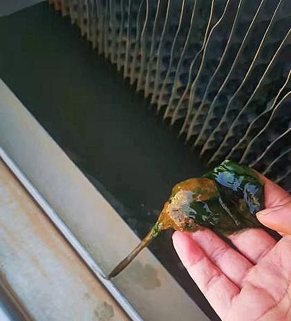 Ʒ|ƬSҔѭhˮϵyؓ\мͣCҪc