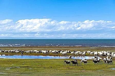 ϺwSVϏSؔ_2022ˮȾYA͸¶ʲô̖?