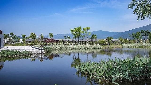 ɽrVa(chn)SҸȾI(y)Uˮˮ̎+ع@+l(f)!@ˮS@(gu)҃(yu)|(zh)̪(jing)