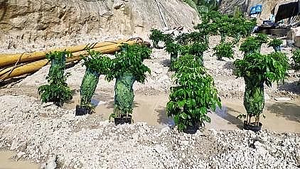 ๦ܷ͚aShˮ̎Sϵycc!