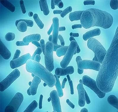 ϺwWϏSҿ | Pڳˮ㲻֪Щ...