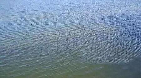 ϵˮñaSҸ؛ | ˮ|ô?