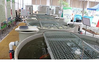 ϵsϏSҹSѭhˮBֳb似g