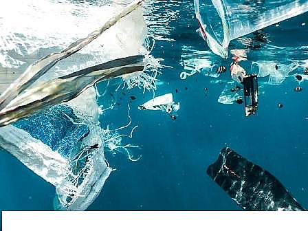 高能立體網(wǎng)狀填料廠家聯(lián)合國世界水資源發(fā)展報告:廢水是新的黑金嗎?