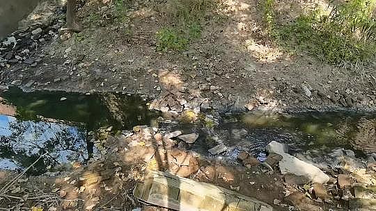 ܸwSVϏSҶغڳˮwڷ!σ|~ͶYˮƯ?