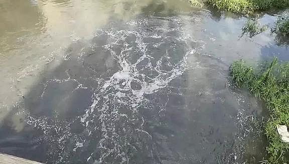 ܸwSVϏSҶغڳˮwڷ!σ|~ͶYˮƯ?