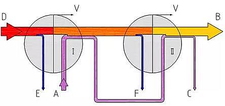 VϏSҔʮN}Uˮ̎ĂǌFŷšPI·?