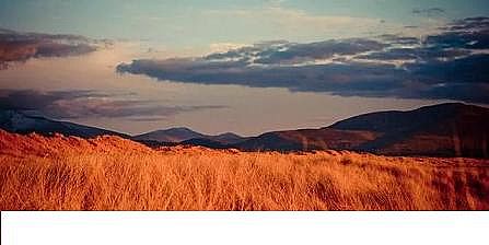 PwS^aSҏĘIA濴2021hИIFǰ톢ʾ