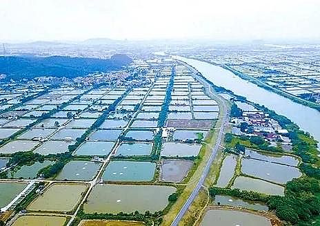 ȫZʯVϏSBֳβˮ팢д!ŷŘ˜ʌСơ