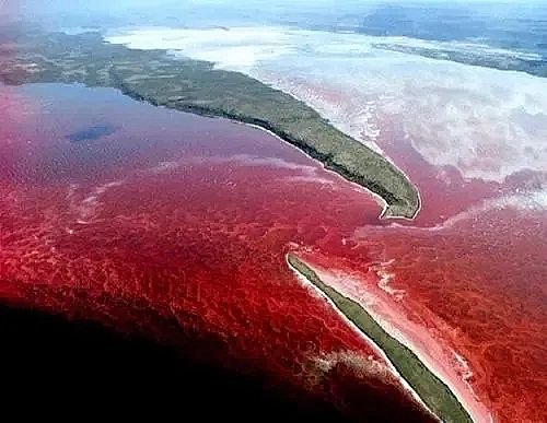 ȫZʯVϏSBֳβˮ팢д!ŷŘ˜ʌСơ