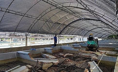 ȫZʯVϏSBֳβˮ팢д!ŷŘ˜ʌСơ