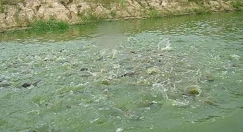 ȫZʯVϏSBֳβˮ팢д!ŷŘ˜ʌСơ