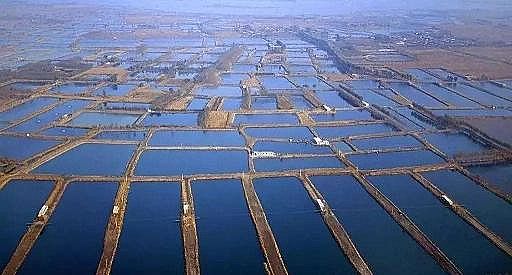 ȫZʯVϏSBֳβˮ팢д!ŷŘ˜ʌСơ