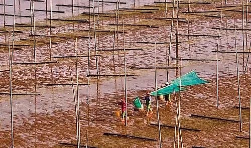 ȫZʯVϏSBֳβˮ팢д!ŷŘ˜ʌСơ