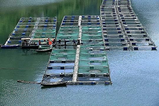 ȫZʯVϏSBֳβˮ팢д!ŷŘ˜ʌСơ