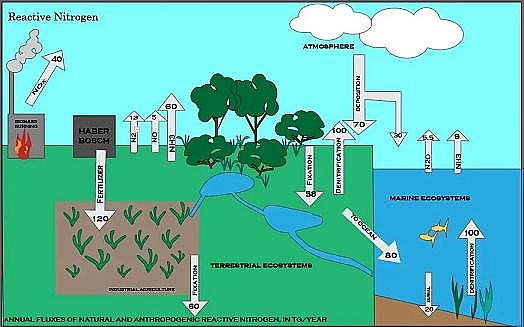 ɽrVa(chn)S@NwЧ(yng)Ƕ̼300sһֱ